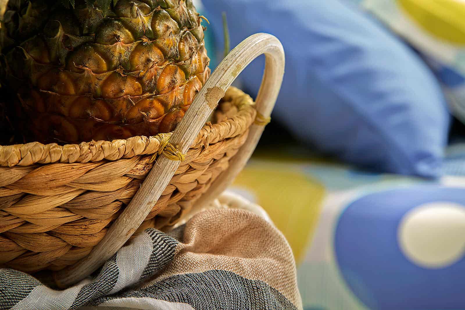 Impression Print Bedsheet  3pcs Brand:Lotus