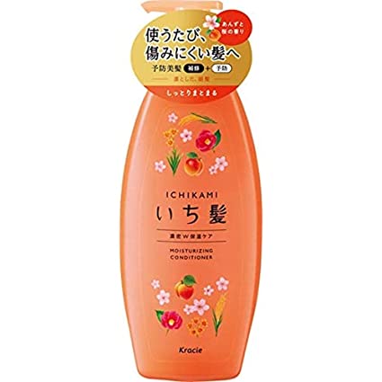Ichikami Moisturizing Conditioner Pump 480g