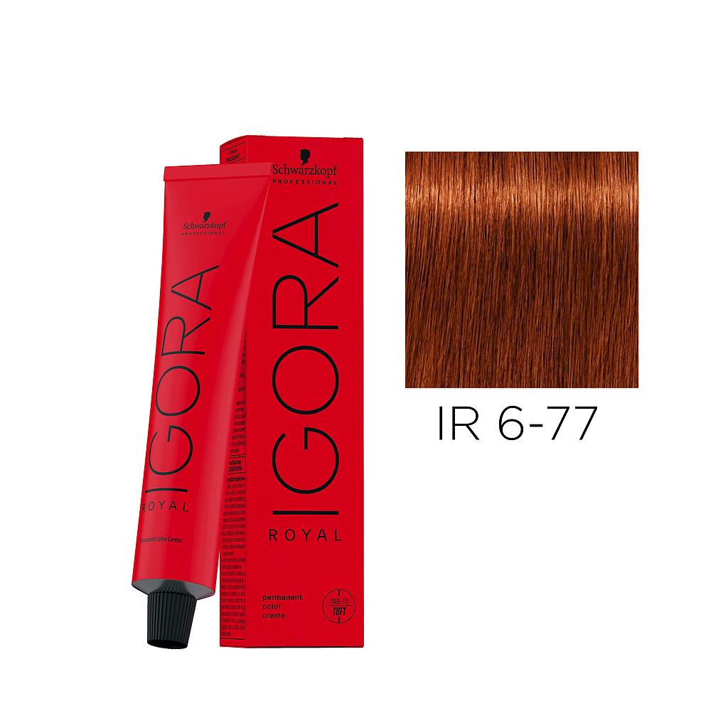 IR.6-77 60ml DARK BLONDE COPPER EXTRA