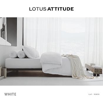 Attitude Bed Sheet Set 3 pcs- Basic White(106 * 198) Brand:Lotus