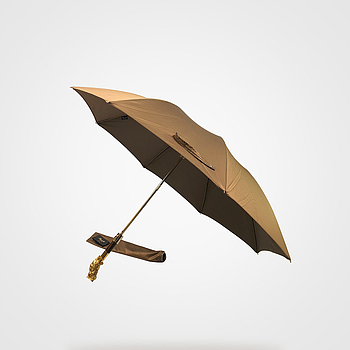 Pasotti (Golden Owl Folding Umbrella)